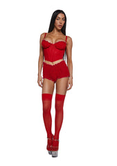 Shimmer Nights Bustier Lingerie Set