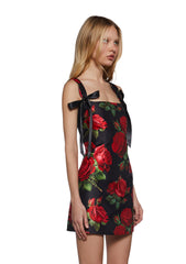 Pixie Stardust Mini Dress - Roses
