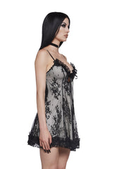 Dove Faithfully Doomed Lace Dress