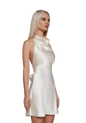 Bold Beauty Satin Dress