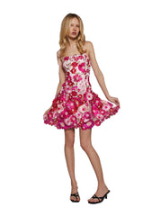 Floral Dreams Mini Dress - Light Pink